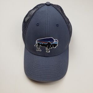 Patagonia Fitz Roy Bison LoPro Trucker Hat Style 38005 Blue